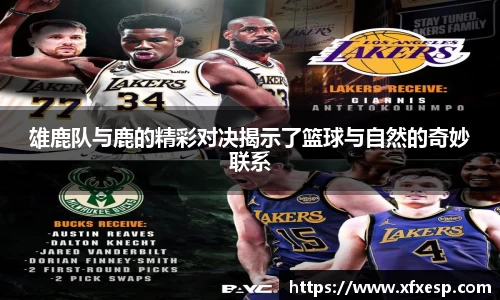 南宫大舞台官网入口